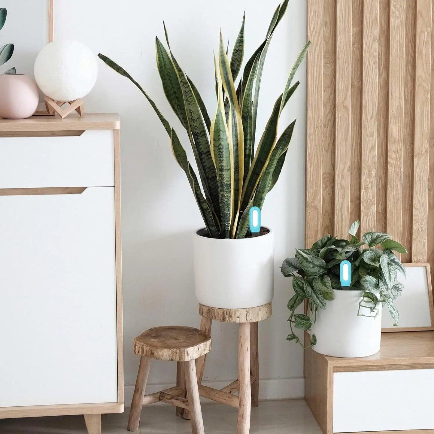 Wifi Zigbee Smart Soil Tester Bluetooth Humidity Temperature Sensor